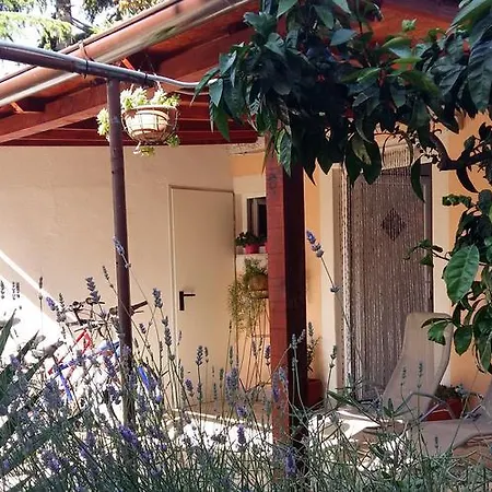 Apartamento Anica
