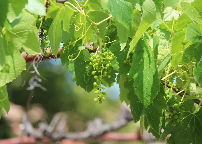 Anica With Parking * Rovinj