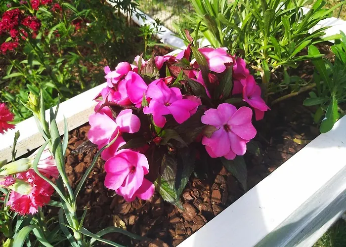 Apartament Anica With Parking