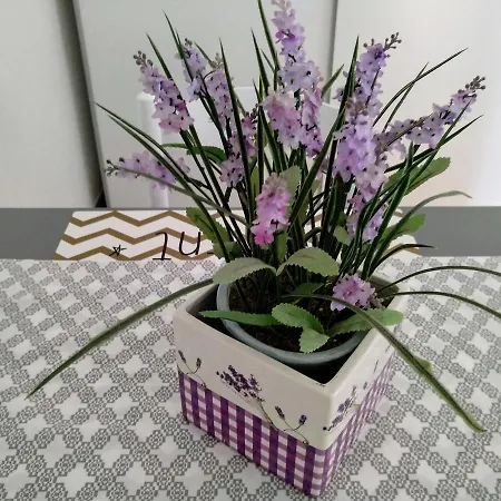 Apartment Anica *